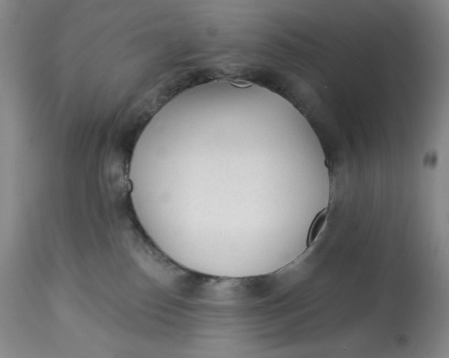 X0000113130186200909251248