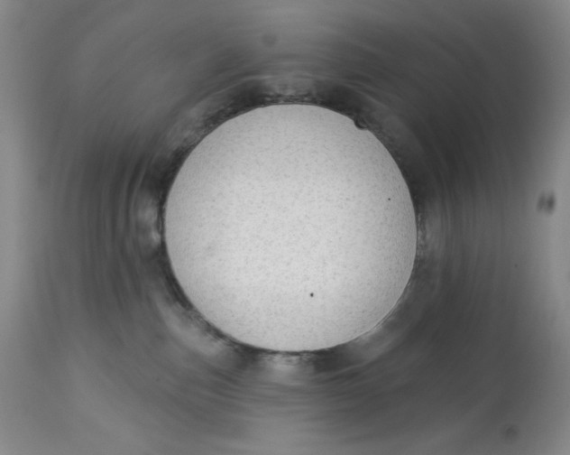 X0000113130187200909251248