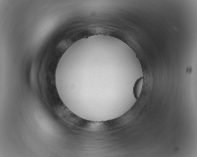 X0000113130189200909251248