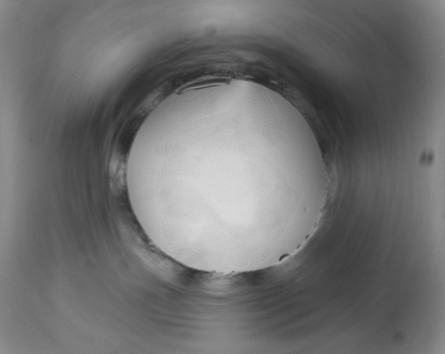 X0000113130191200909251248