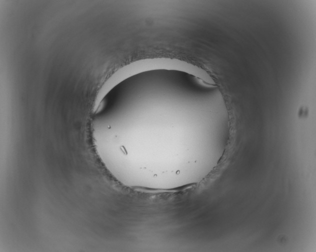 X0000113130192200909251248