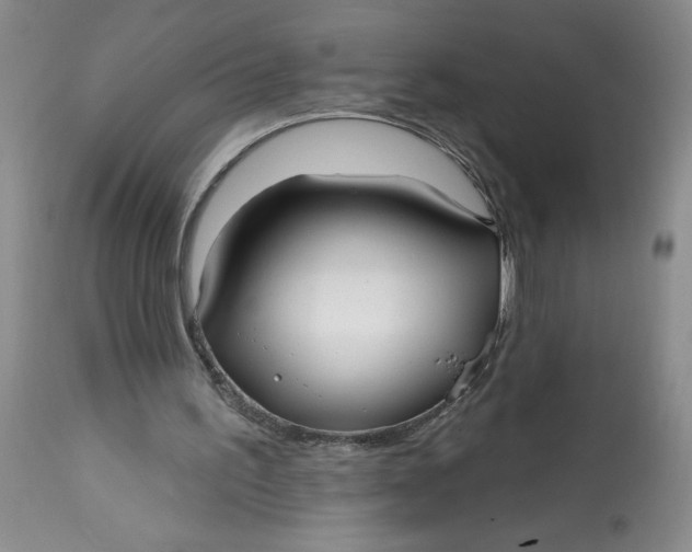 X0000113130195200909251248