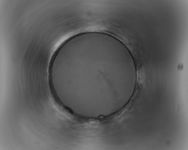 X0000113130196200909251248