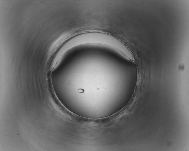 X0000113130197200909251248