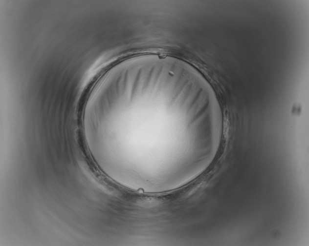 X0000113130198200909251248