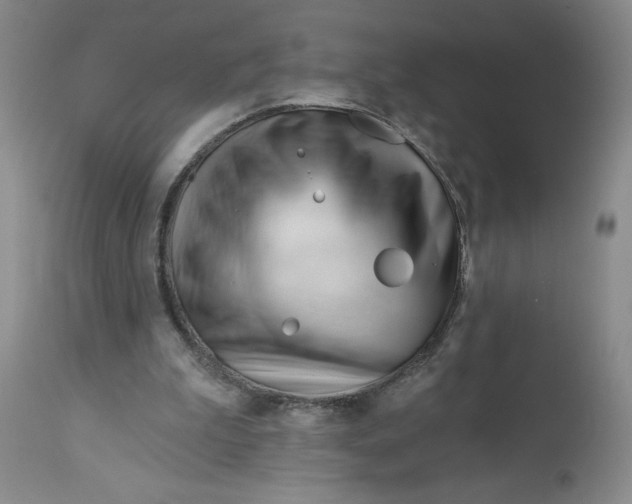 X0000113130199200909251248