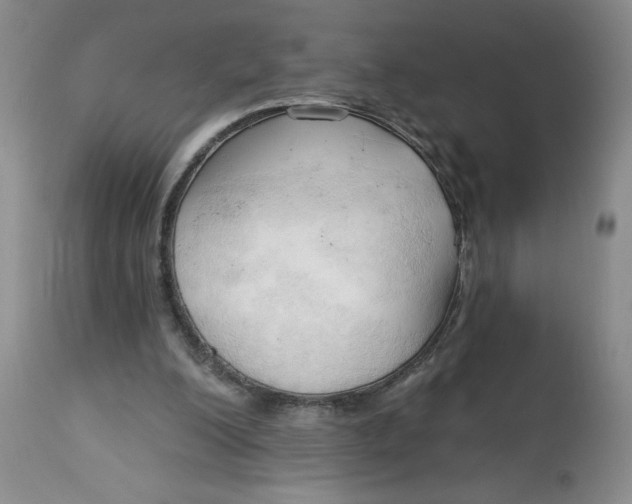 X0000113130200200909251248