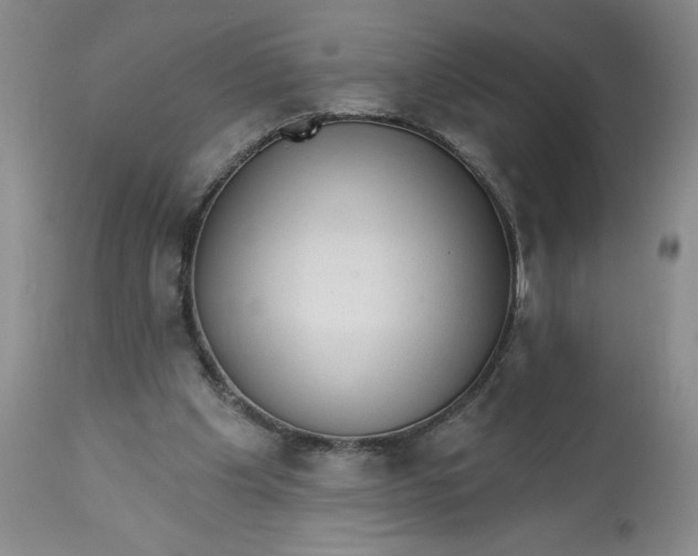 X0000113130201200909251248