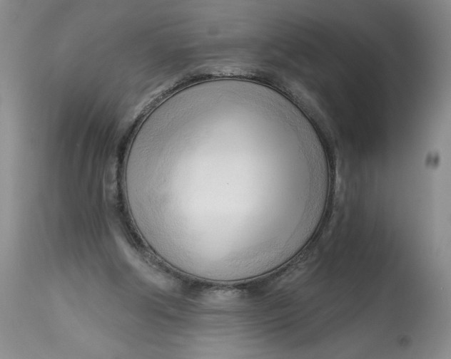 X0000113130202200909251248