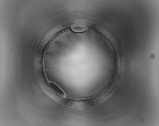 X0000113130203200909251248