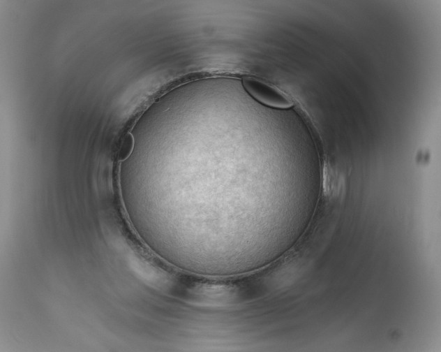 X0000113130205200909251248