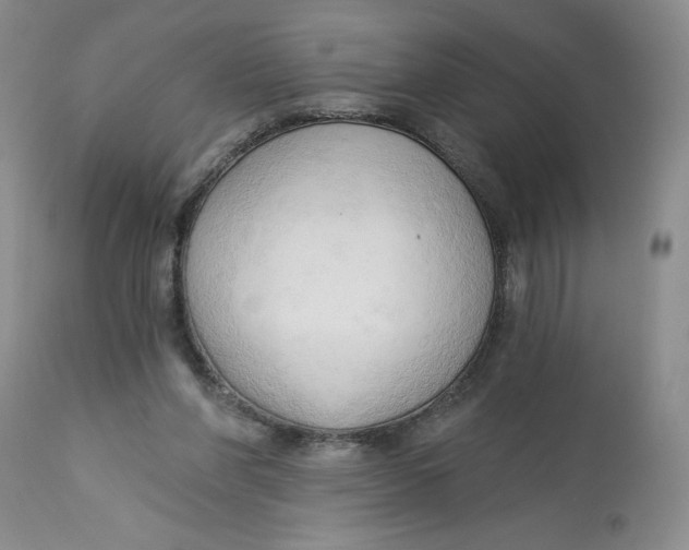 X0000113130206200909251248