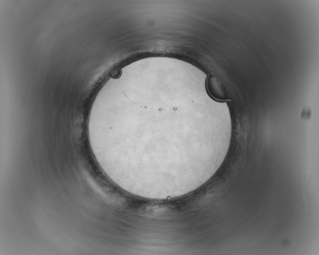 X0000113130208200909251248