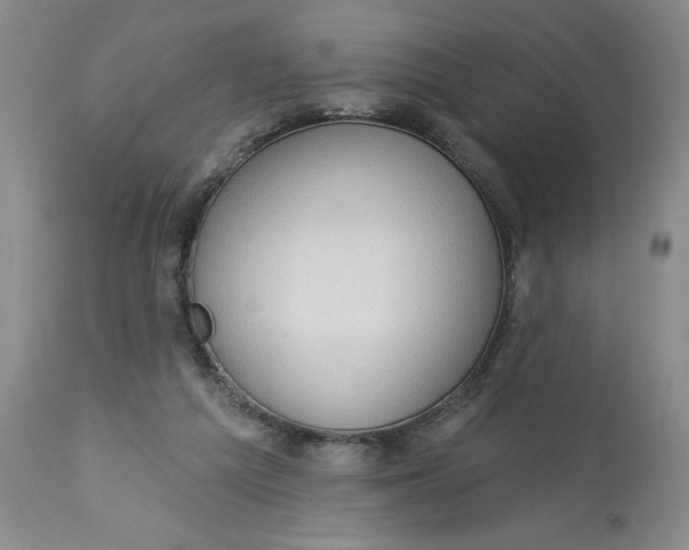 X0000113130209200909251248