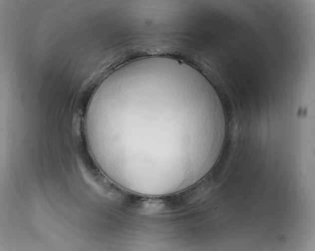 X0000113130214200909251247