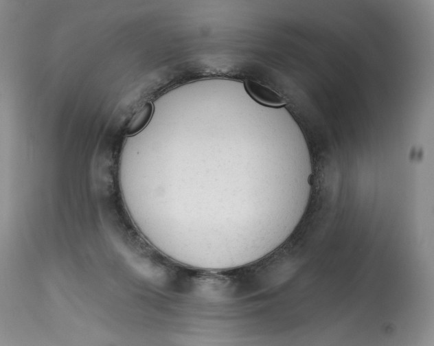 X0000113130215200909251247