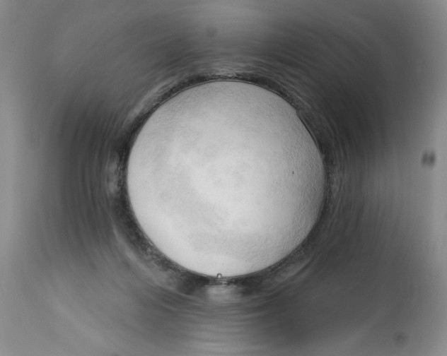 X0000113130216200909251247