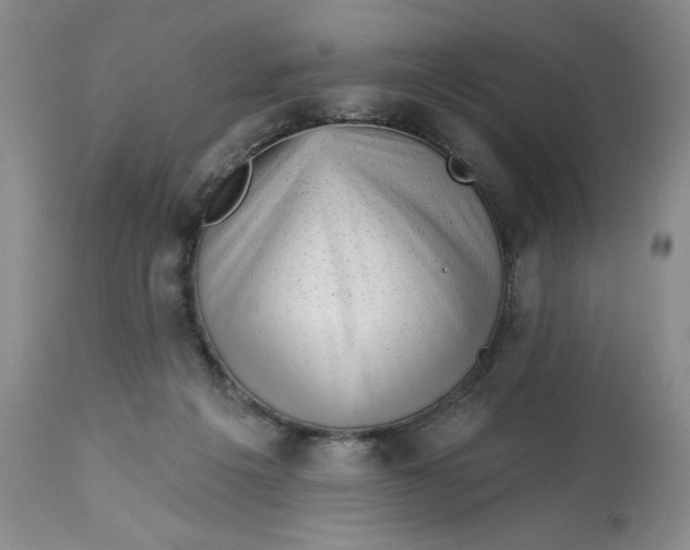 X0000113130217200909251247