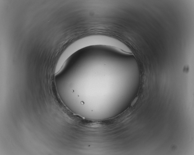 X0000113130219200909251247