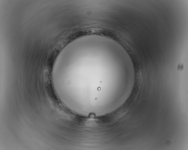 X0000113130222200909251247