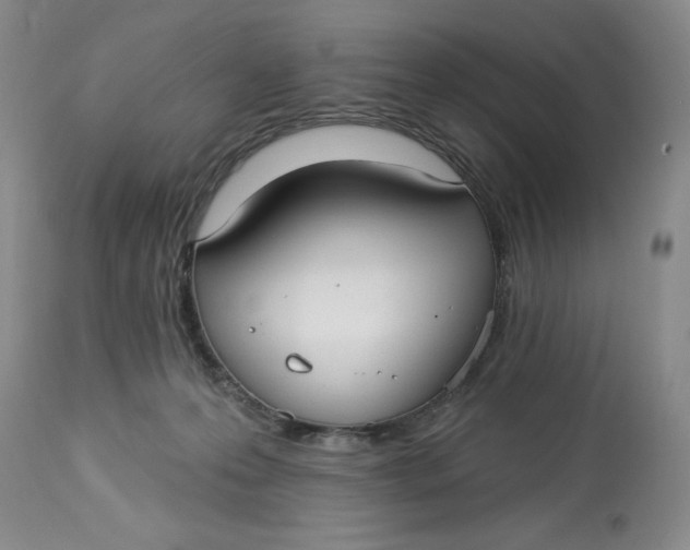 X0000113130223200909251247