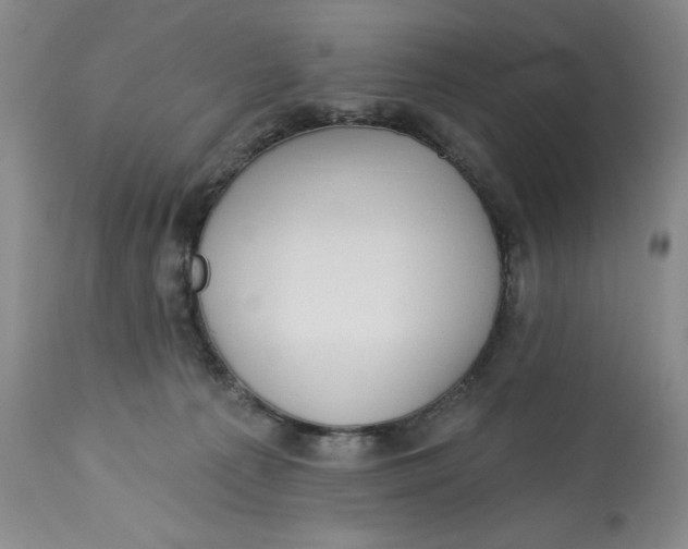 X0000113130225200909251247