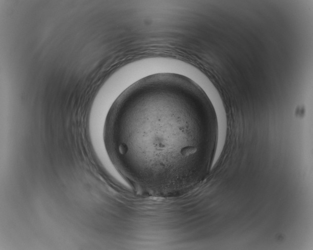 X0000113130227200909251247