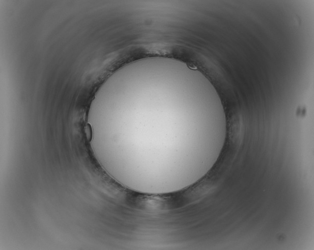 X0000113130229200909251247