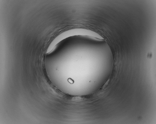 X0000113130231200909251247