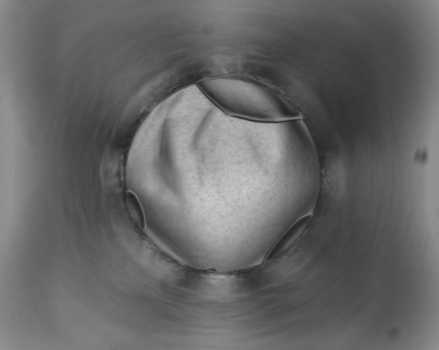 X0000113130233200909251247