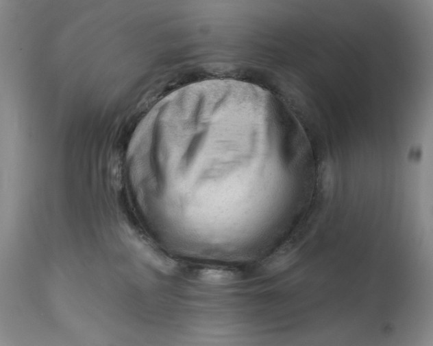 X0000113130234200909251247