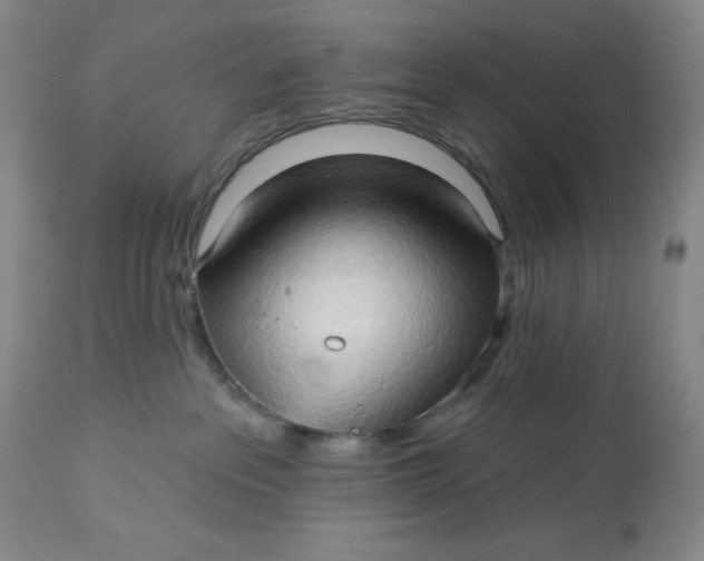 X0000113130237200909251247