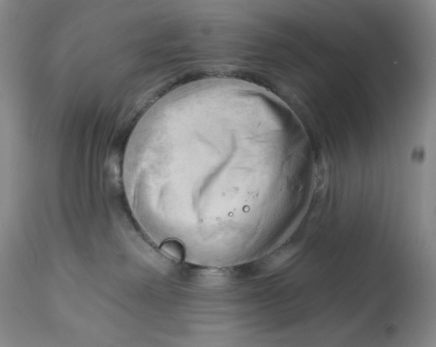 X0000113130238200909251247