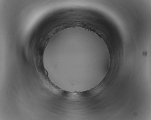 X0000113130239200909251247