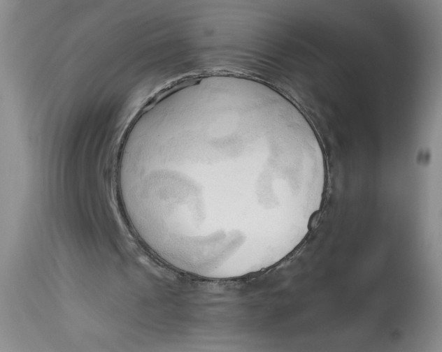 X0000113130241200909251246