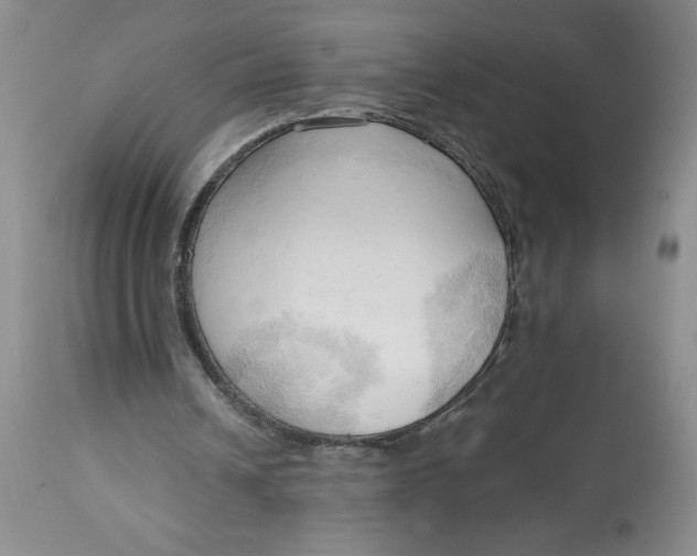 X0000113130242200909251246