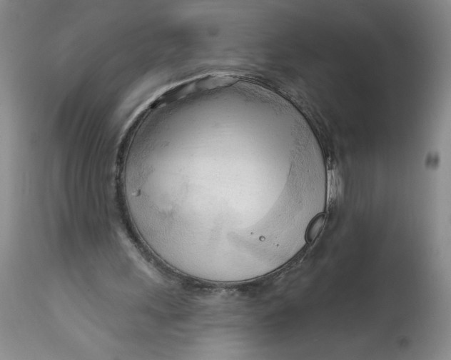 X0000113130243200909251246