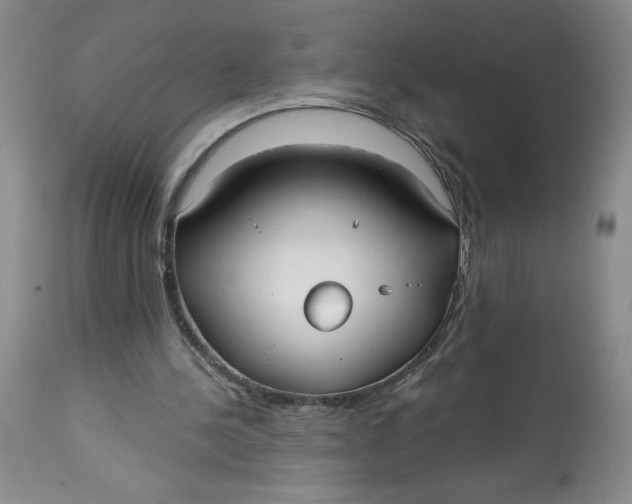 X0000113130244200909251246