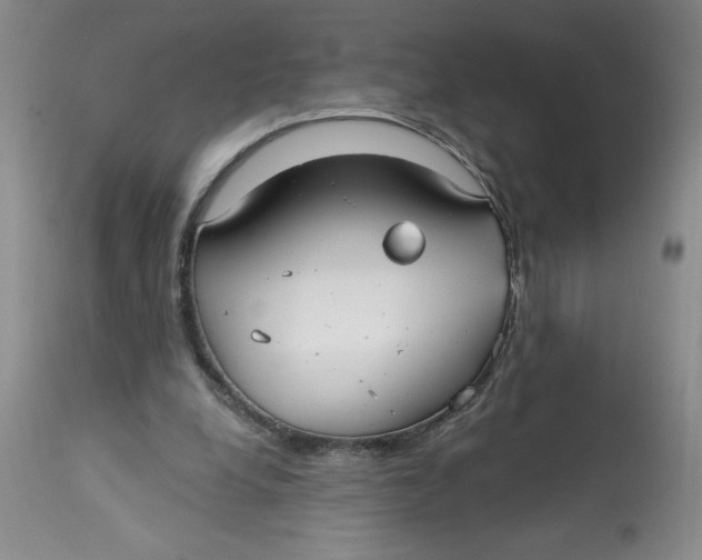 X0000113130248200909251247