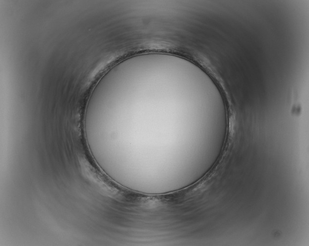 X0000113130249200909251247