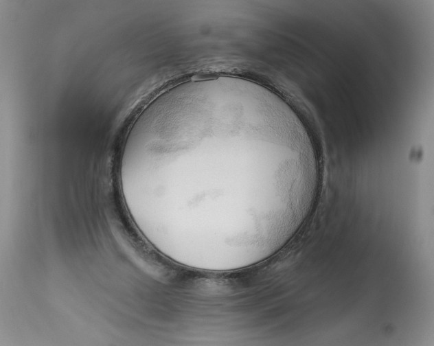 X0000113130250200909251247