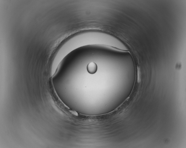 X0000113130252200909251247