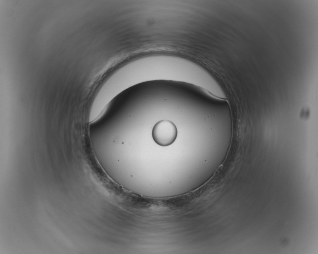 X0000113130256200909251247