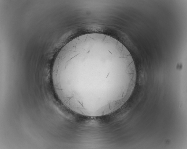 X0000113130259200909251247