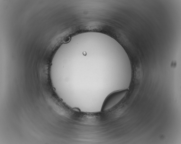 X0000113130260200909251247