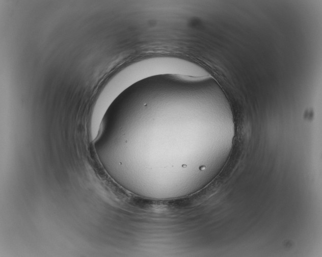 X0000113130264200909251247