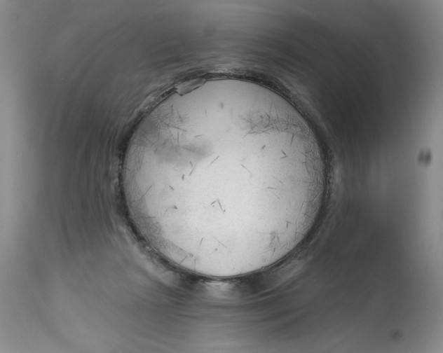 X0000113130265200909251247