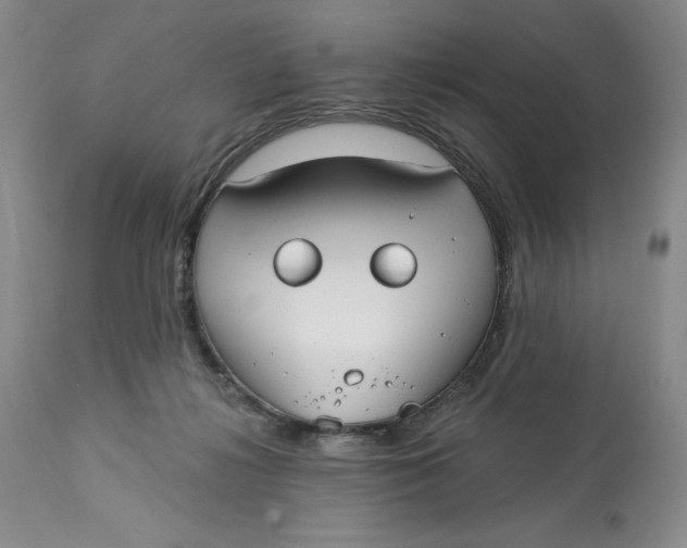 X0000113130268200909251247