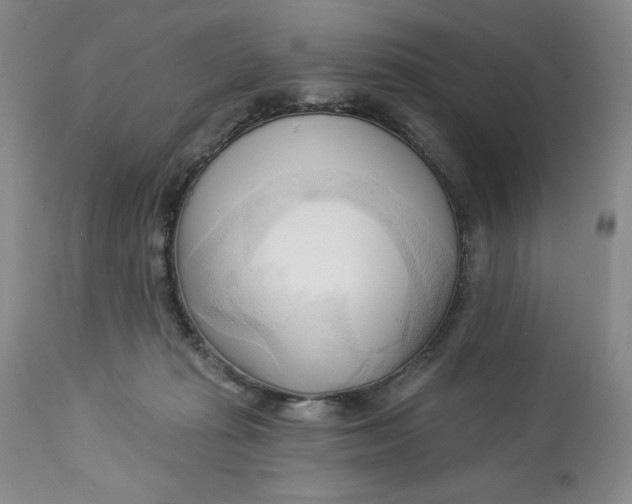 X0000113130269200909251247