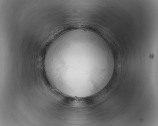 X0000113130270200909251247